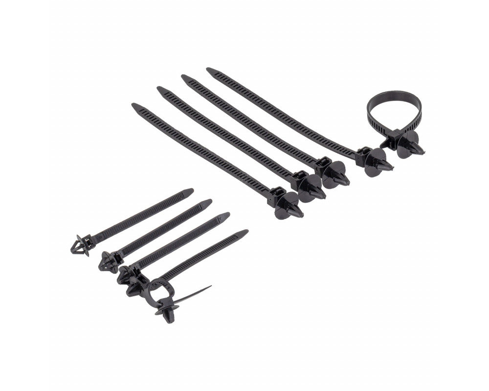 Universele set met 620stuks Automotive clips plus pinnen en gereedschap