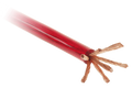 Voedingskabel 20,00 mm² rood 50 Meter
