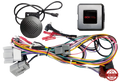 S.W.I. Ford Fiesta 14Pin/Display Multilead (42sfo004)