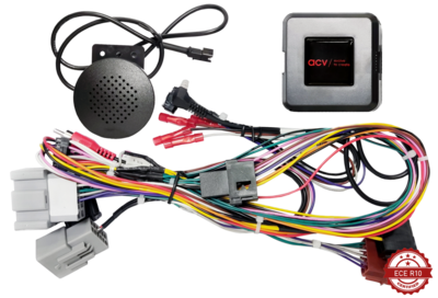 S.W.I. Ford Fiesta 14Pin/Display Multilead (42sfo004)