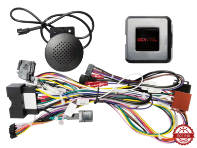 S.W.I. Ford Fiesta 24Pin/Display Multilead (42sfo005)