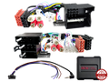 S.W.I. Audi ISO/Mini ISO/Quadlock Multilead AMP>RCA (42sad00c)