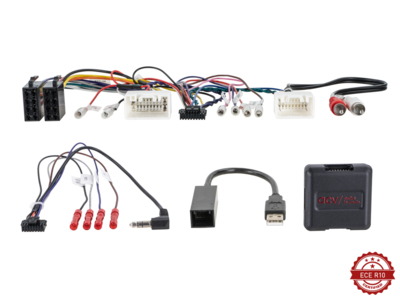 S.W.I. Mitsubishi Diverse Voertuigen Rockfortd Fosgate AMP Multilead (42smt009)