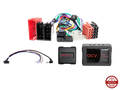 S.W.I. Audi A2/A3/A4/A6/TT ISO/Mini ISO Multilead Amp>Pro (42sad008)