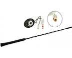 Calearo Dakantenne AM / FM 60 ° helling 12V extern