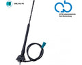 Bad Blankenburg Dak antenne AM/FM 10-115graden hoek, (DAB+ ready) passief