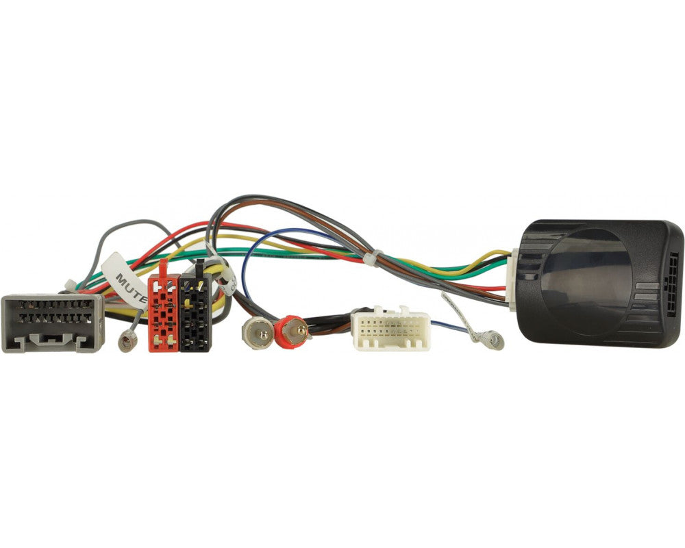 S.W.I. Diverse modellen Toyota met sound systeem
