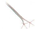 Luidspreker kabel 2 x 4,00 mm transparant mint 100 Meter LET OP: UITLOPEND ARTIKEL, KAN NIET RETOUR!