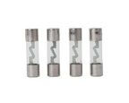 Auto-Connect AGU 100A fuse nickel plated 4pcs