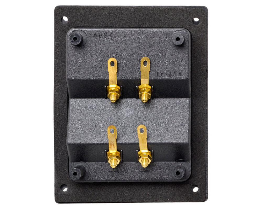 Auto-Connect Level 2 Dual speaker terminal