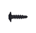 Zelfborende Plaatschroef zwart 2cm 10 stuks