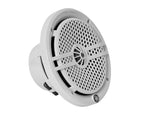DLS Alive IPX outdoor 6,5" Coax White