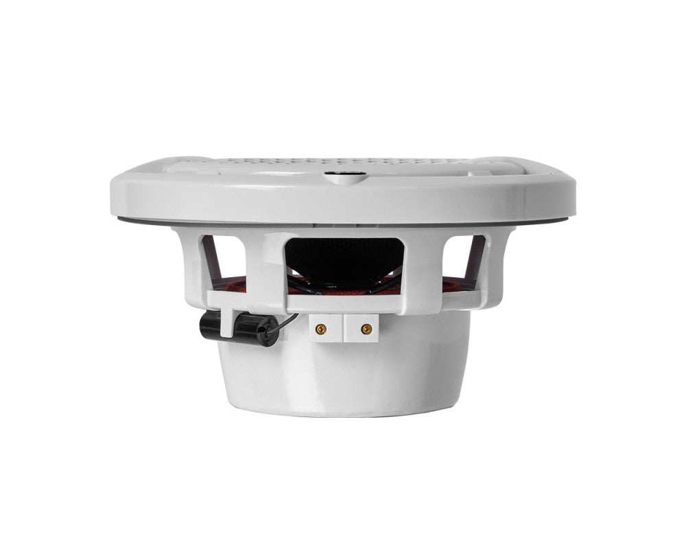 DLS Alive IPX outdoor 6,5" Coax White