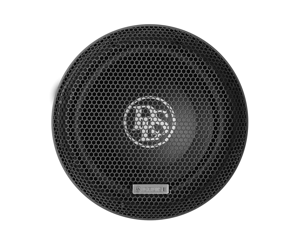 DLS Cruise CR8.D2 8" subwoofer