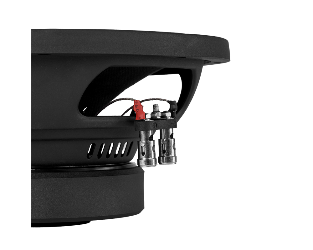 DLS 10"/250mm 2+2 Ohm Subwoofer