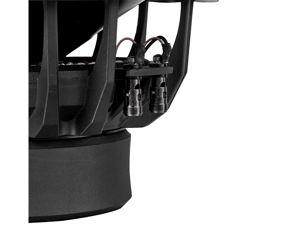 DLS 10"/250mm Subwoofer!