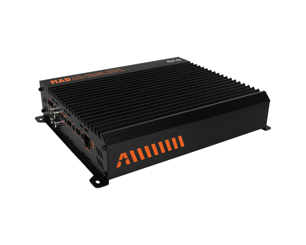 GAS MAD Level 2 Mono amplifier afbeelding 2