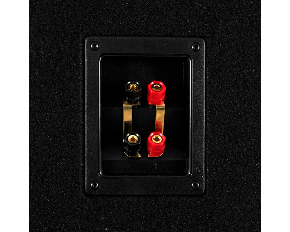 GAS MAD Level 1 Loaded enclosure 2x12" afbeelding 10