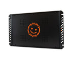 GAS MAX Level 2 Mono amplifier afbeelding 10