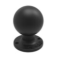 RAM ronde amps plaat met bal - RAM Mounts RAM-D-254U