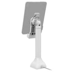 GDS® Uni-Conn™ 35,56 cm (14") Pedestal Dock met oplaadfunctie via USB-C - Grijs - RAM Mounts RAM-GDS-DOCK-D11-14-U1C-GRY afbeelding 3