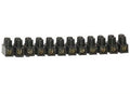 Kroonsteen 1X 12-wegs > 0 5 - 2 5mm² > 3A 10X